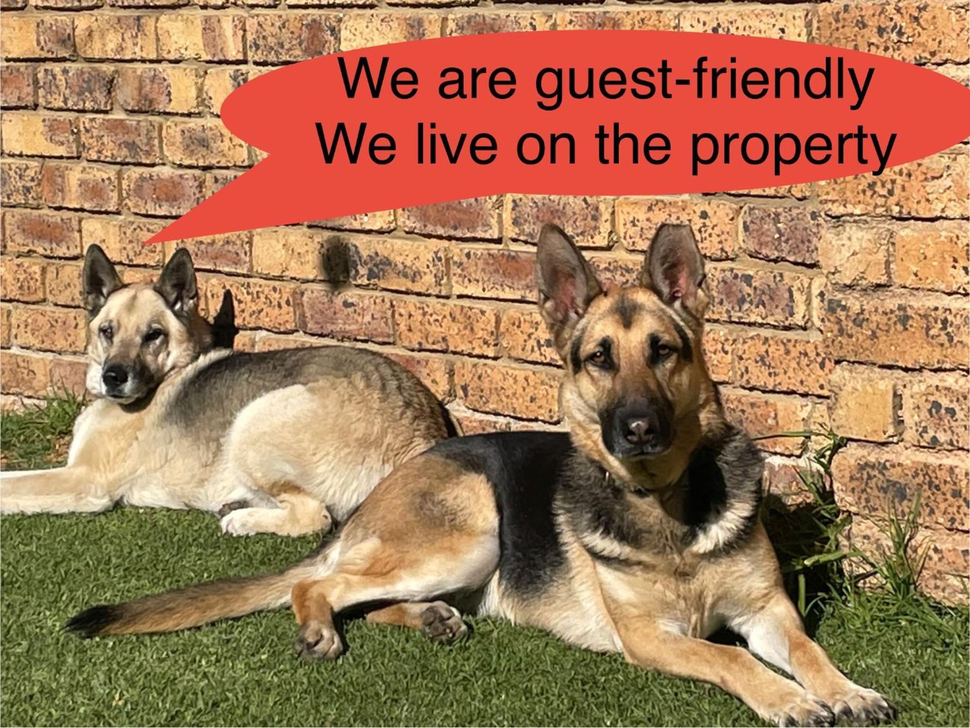 Celtis Lane Guest House Boksburg Exterior photo